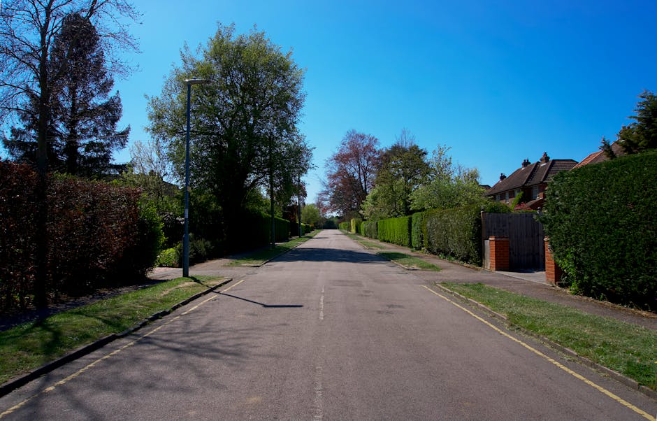 A quiet residential street with a paved road stretching into the distance under a clear blue sky. On the left side, there are tall trees with dense green foliage casting shadows on the pavement, and a modern streetlight is visible near the foreground. The right side features well-maintained front gardens bordered by neatly trimmed hedges, with brick and wooden gates providing access to private driveways. The scene suggests a calm area suitable for home relocations where moving companies like Man with Van Elmers End can perform furniture transport and packing and moving tasks efficiently, although no moving activity is visible in the image itself. The overall environment reflects a typical suburban setting with mature trees and residential houses along the street.